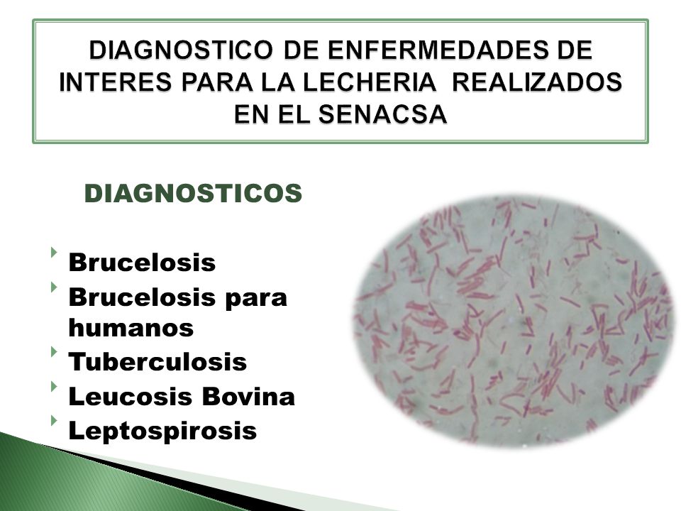 DIAGNOSTICO DE ENFERMEDADES DE INTERES PARA LA LECHERIA REALIZADOS EN EL SENACSA