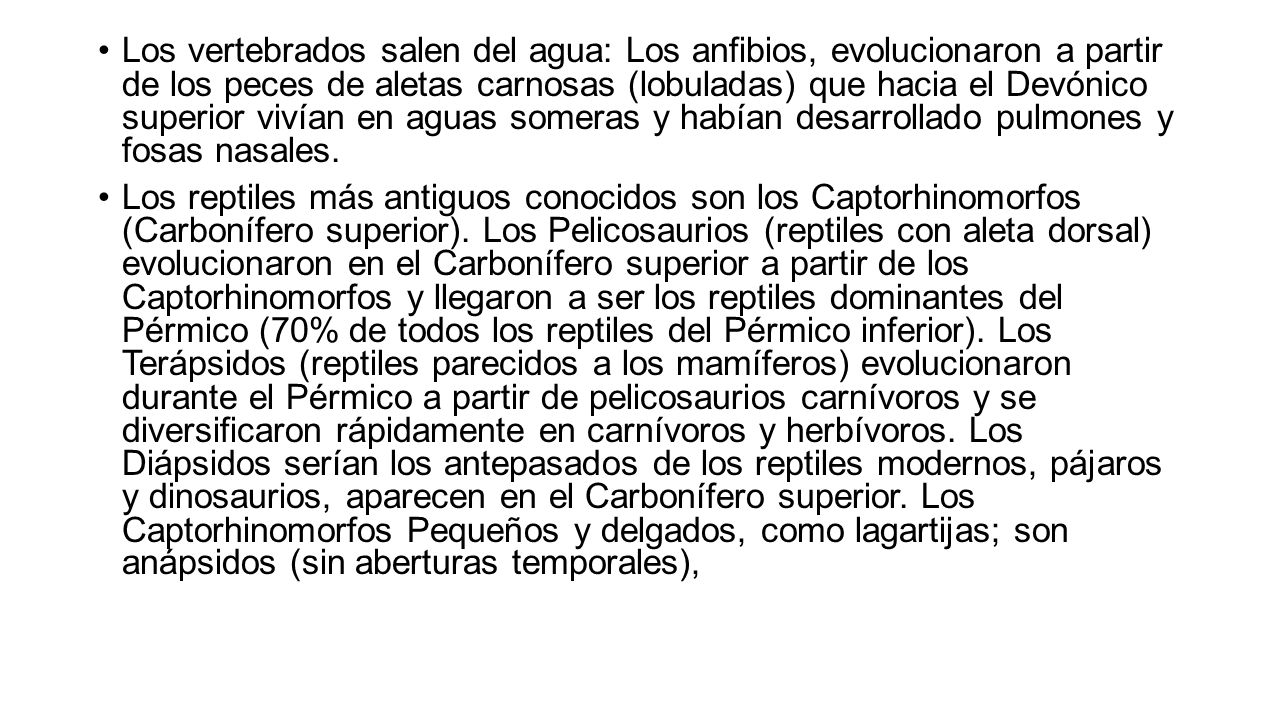 Los vertebrados salen del agua: Los anfibios, evolucionaron a partir de los peces de aletas carnosas (lobuladas) que hacia el Devónico superior vivían en aguas someras y habían desarrollado pulmones y fosas nasales.