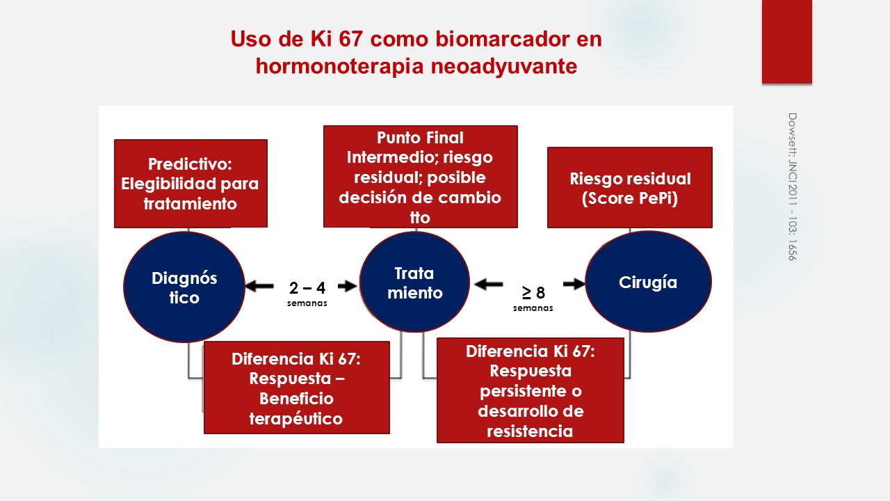 Uso de Ki 67 como biomarcador en hormonoterapia neoadyuvante