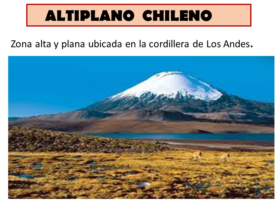 ALTIPLANO CHILENO Zona alta y plana ubicada en la cordillera de Los Andes.