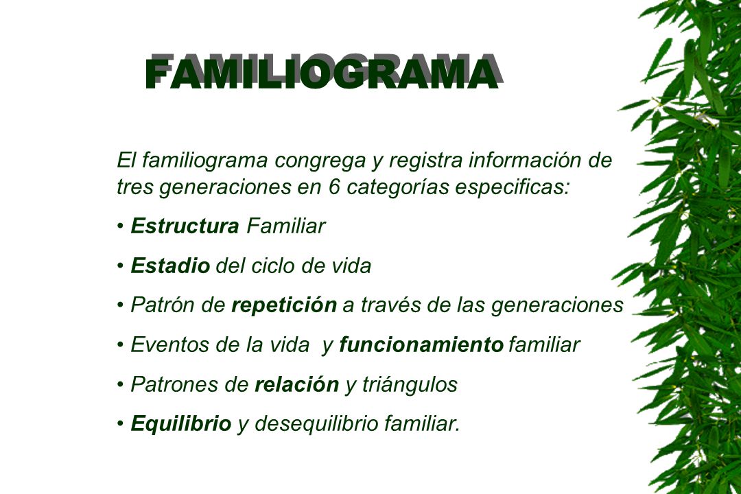 FAMILIOGRAMA El familiograma congrega y registra información de tres generaciones en 6 categorías especificas: