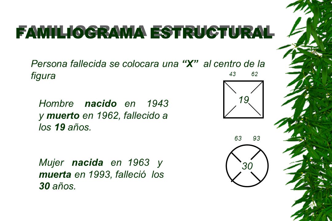 FAMILIOGRAMA ESTRUCTURAL