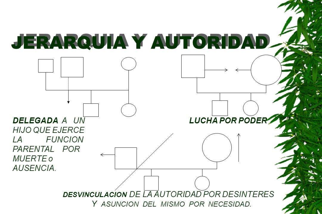 JERARQUIA Y AUTORIDAD DELEGADA A UN HIJO QUE EJERCE LA FUNCION PARENTAL POR MUERTE o AUSENCIA.