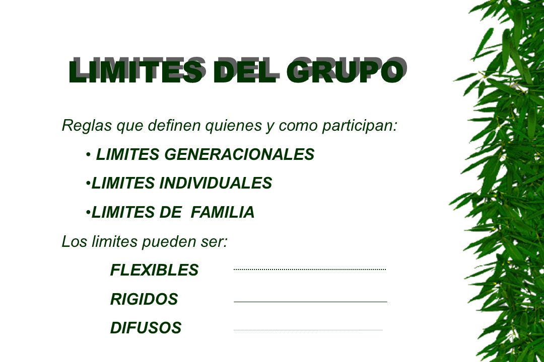 LIMITES DEL GRUPO Reglas que definen quienes y como participan: