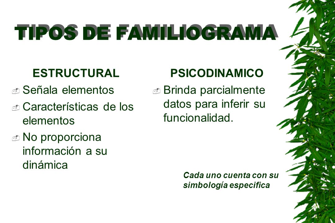 TIPOS DE FAMILIOGRAMA ESTRUCTURAL Señala elementos