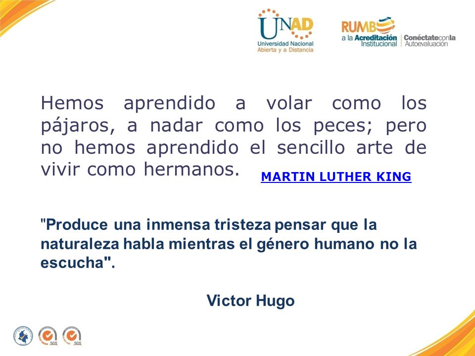 Hemos aprendido a volar como los pájaros, a nadar como los peces; pero no hemos aprendido el sencillo arte de vivir como hermanos.