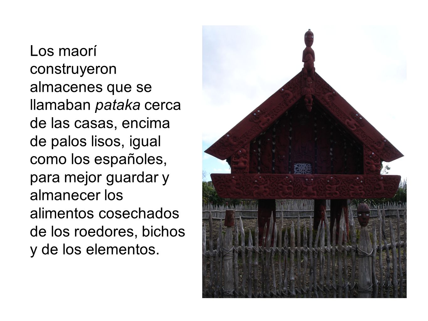 Los maorí construyeron almacenes que se llamaban pataka cerca de las casas, encima de palos lisos, igual como los españoles, para mejor guardar y almanecer los alimentos cosechados de los roedores, bichos y de los elementos.