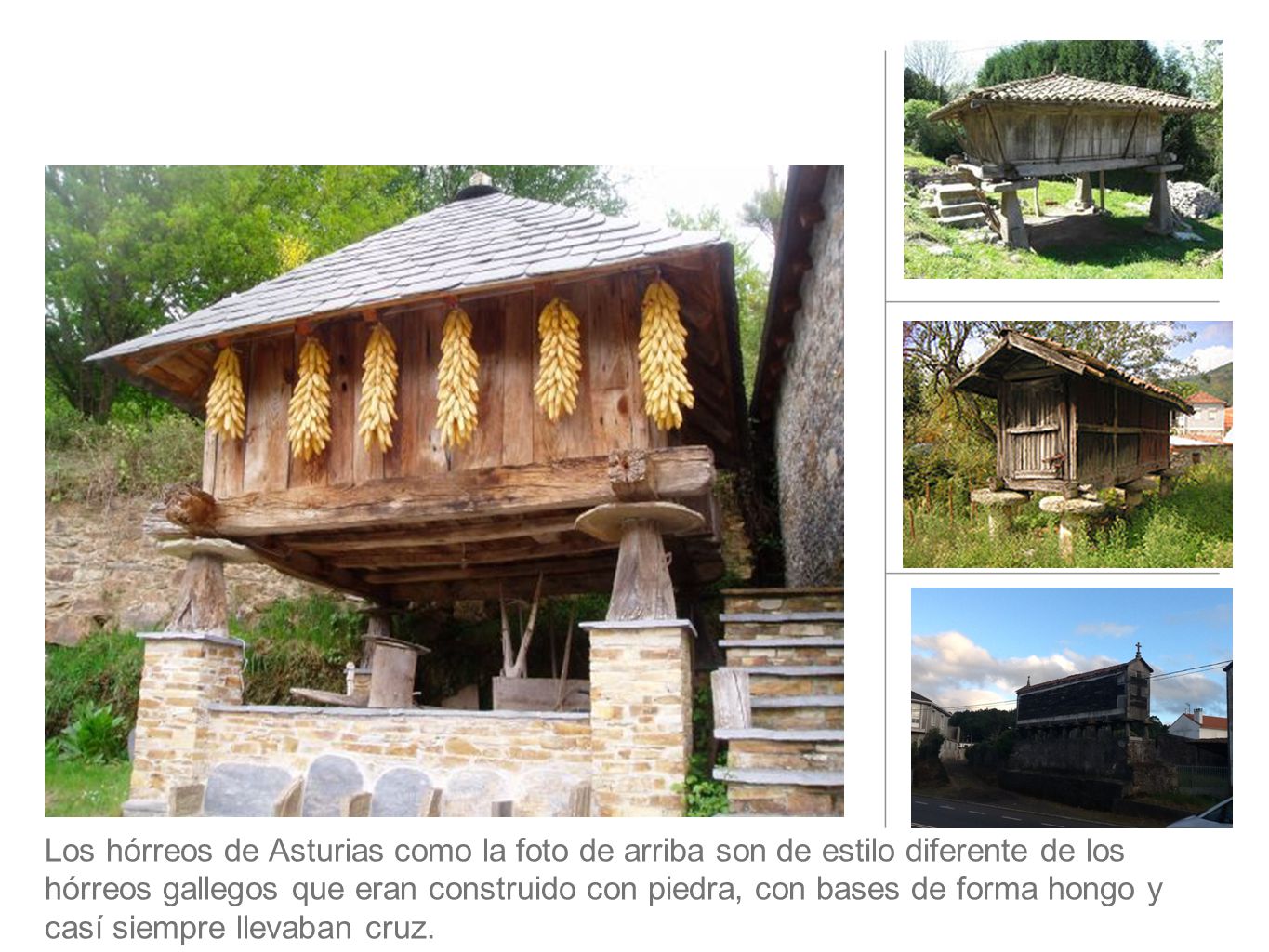 Los hórreos de Asturias como la foto de arriba son de estilo diferente de los hórreos gallegos que eran construido con piedra, con bases de forma hongo y casí siempre llevaban cruz.