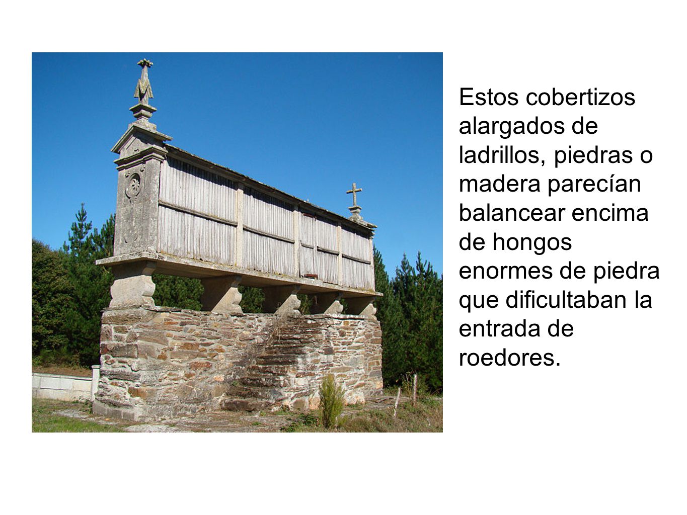 Estos cobertizos alargados de ladrillos, piedras o madera parecían balancear encima de hongos enormes de piedra que dificultaban la entrada de roedores.