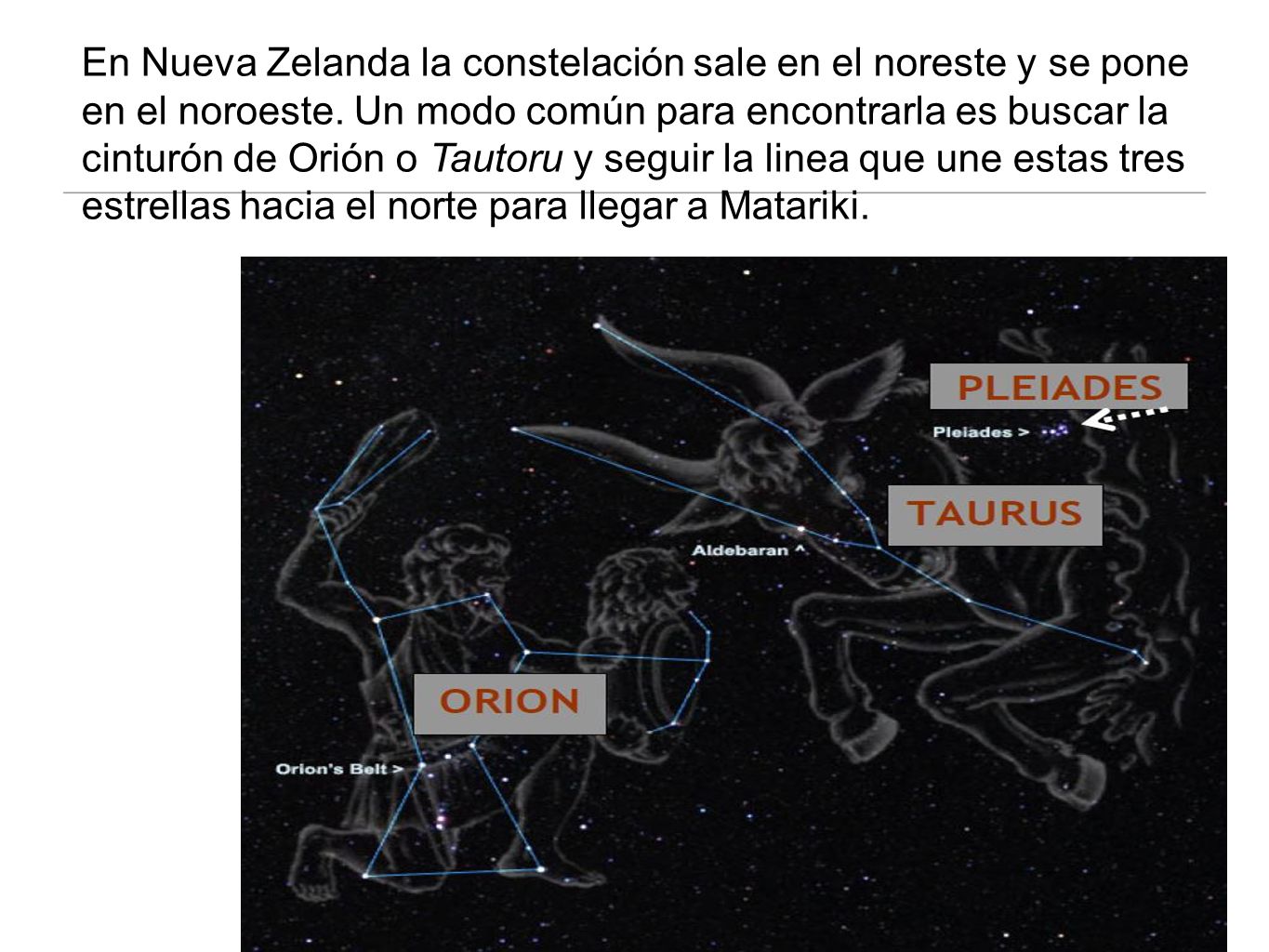 En Nueva Zelanda la constelación sale en el noreste y se pone en el noroeste.
