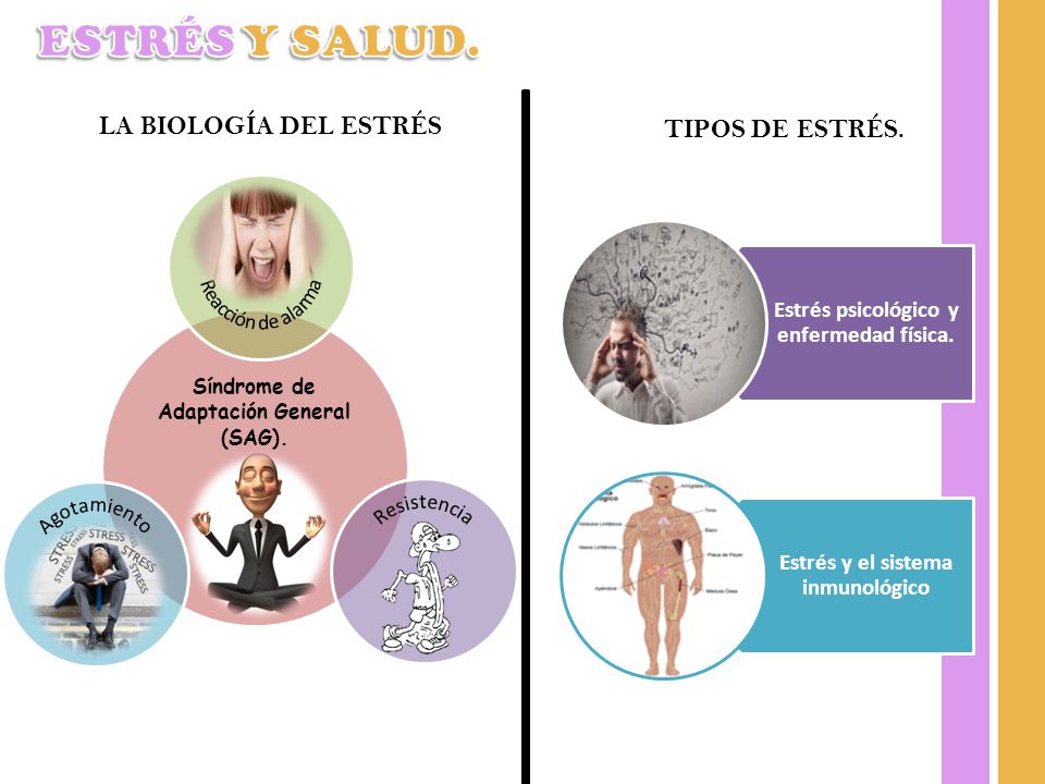 ESTRÉS Y SALUD. LA BIOLOGÍA DEL ESTRÉS TIPOS DE ESTRÉS.