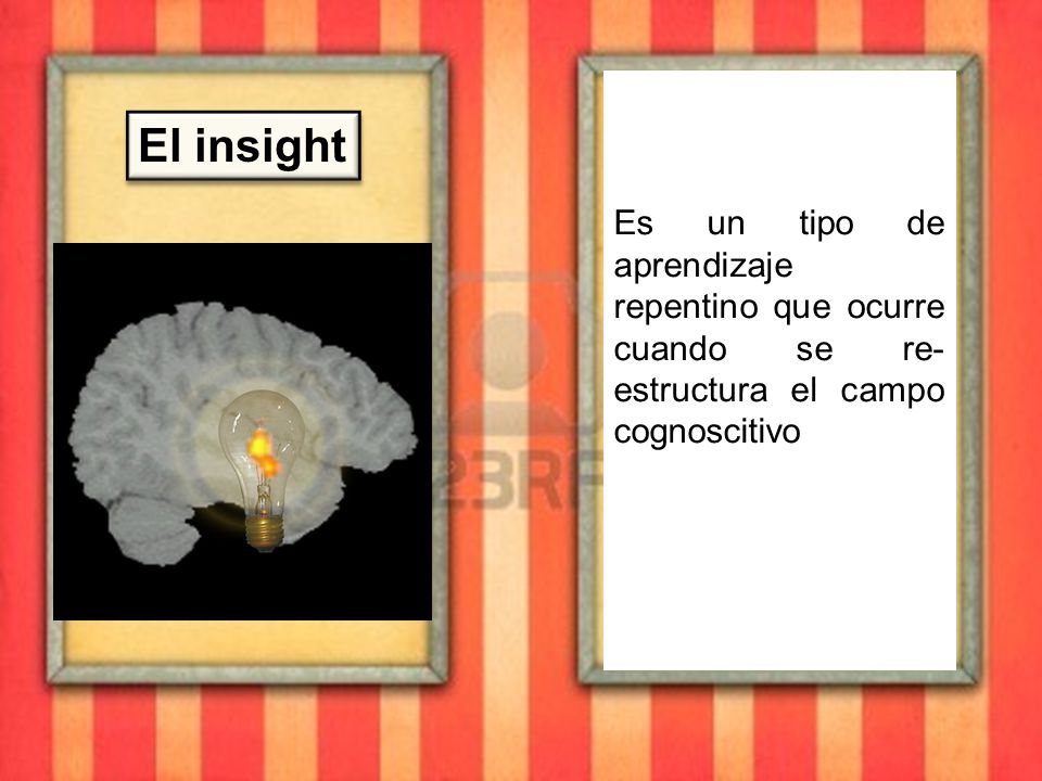 Es un tipo de aprendizaje repentino que ocurre cuando se re-estructura el campo cognoscitivo