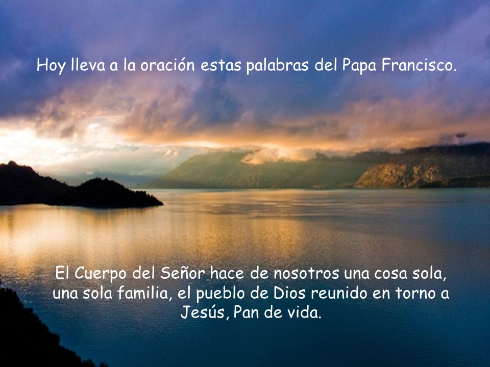 Hoy lleva a la oración estas palabras del Papa Francisco.