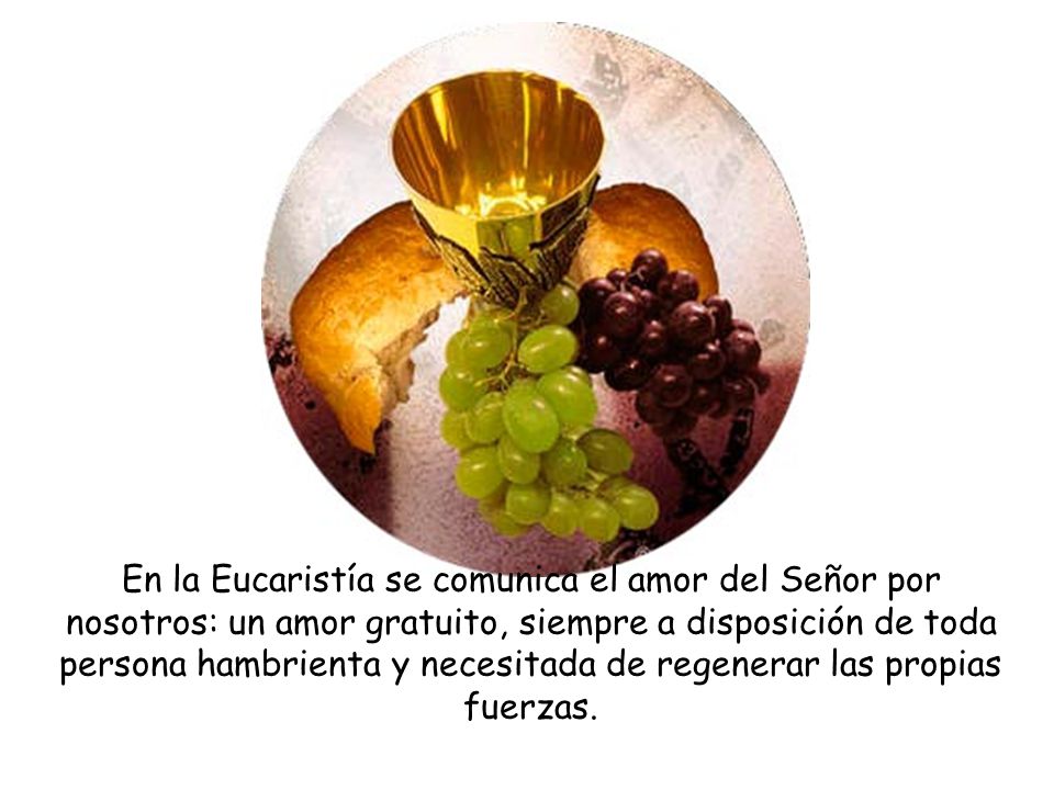 En la Eucaristía se comunica el amor del Señor por nosotros: un amor gratuito, siempre a disposición de toda persona hambrienta y necesitada de regenerar las propias fuerzas.