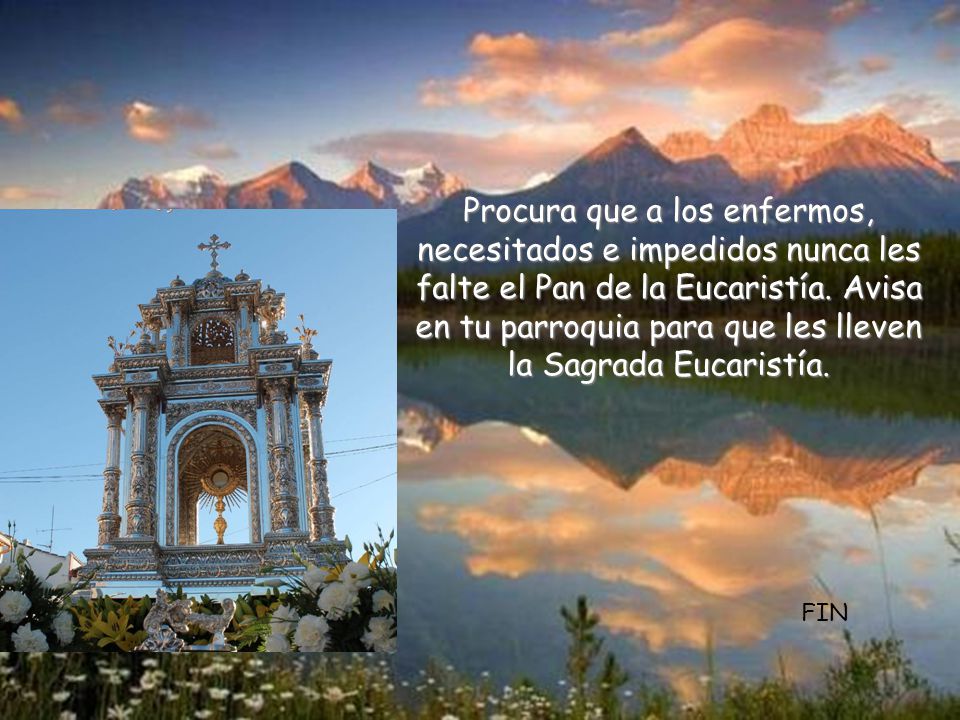 Procura que a los enfermos, necesitados e impedidos nunca les falte el Pan de la Eucaristía. Avisa en tu parroquia para que les lleven la Sagrada Eucaristía.