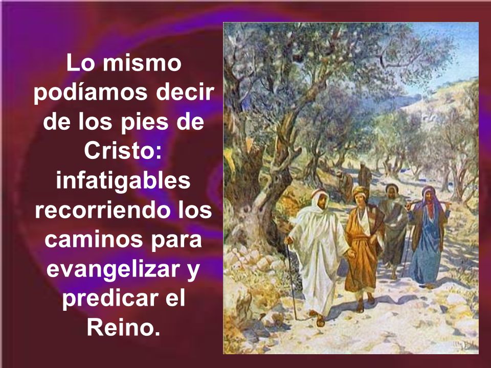 Lo mismo podíamos decir de los pies de Cristo: infatigables recorriendo los caminos para evangelizar y predicar el Reino.