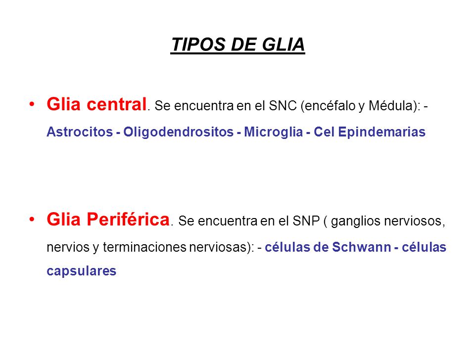 TIPOS DE GLIA Glia central. Se encuentra en el SNC (encéfalo y Médula): - Astrocitos - Oligodendrositos - Microglia - Cel Epindemarias.