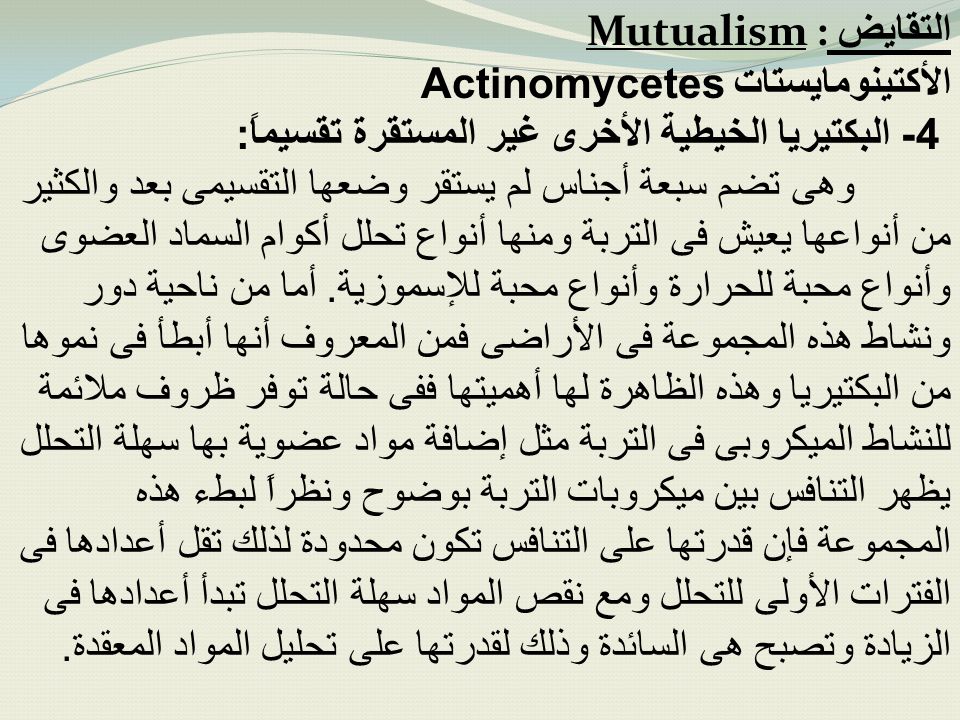 التقايض Mutualism : الأكتينومايستات Actinomycetes. 4- البكتيريا الخيطية الأخرى غير المستقرة تقسيماً: