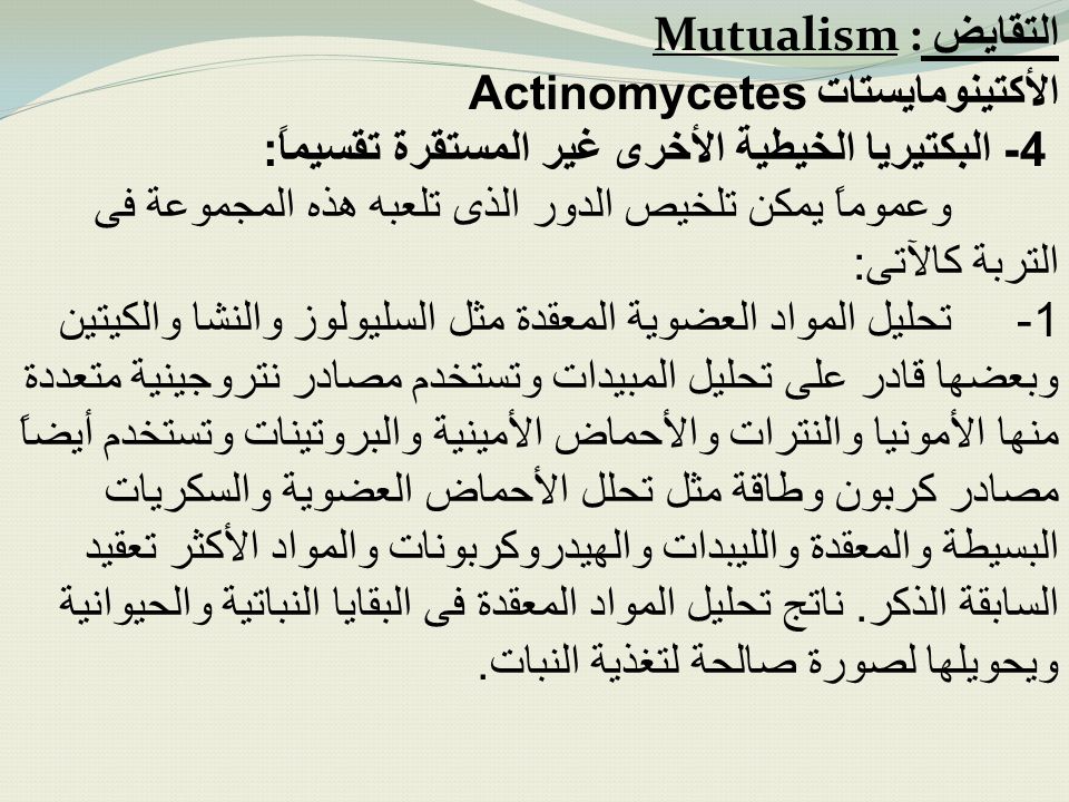 التقايض Mutualism : الأكتينومايستات Actinomycetes. 4- البكتيريا الخيطية الأخرى غير المستقرة تقسيماً:
