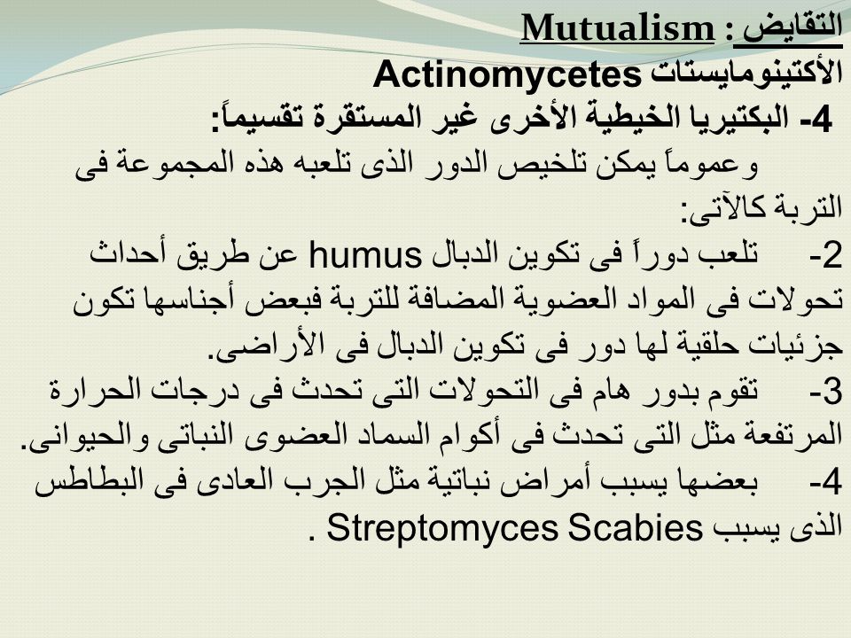 التقايض Mutualism : الأكتينومايستات Actinomycetes. 4- البكتيريا الخيطية الأخرى غير المستقرة تقسيماً: