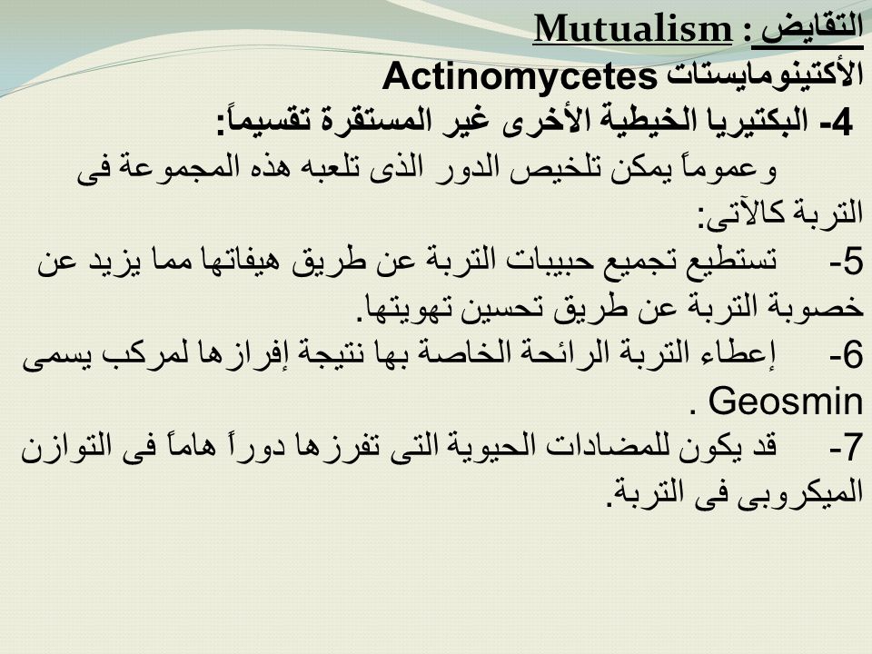 التقايض Mutualism : الأكتينومايستات Actinomycetes. 4- البكتيريا الخيطية الأخرى غير المستقرة تقسيماً: