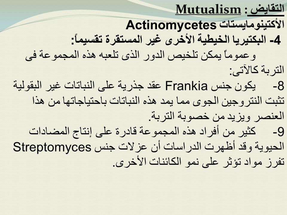 التقايض Mutualism : الأكتينومايستات Actinomycetes. 4- البكتيريا الخيطية الأخرى غير المستقرة تقسيماً: