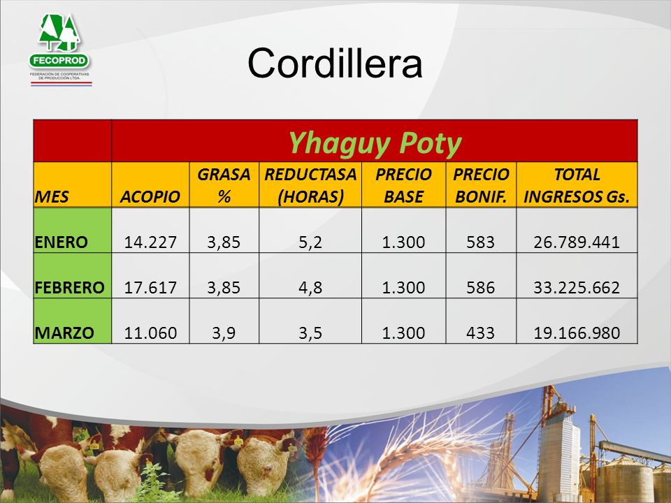Cordillera Yhaguy Poty MES ACOPIO GRASA % REDUCTASA (HORAS)