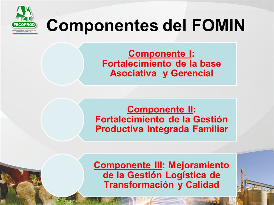 Componente I: Fortalecimiento de la base Asociativa y Gerencial