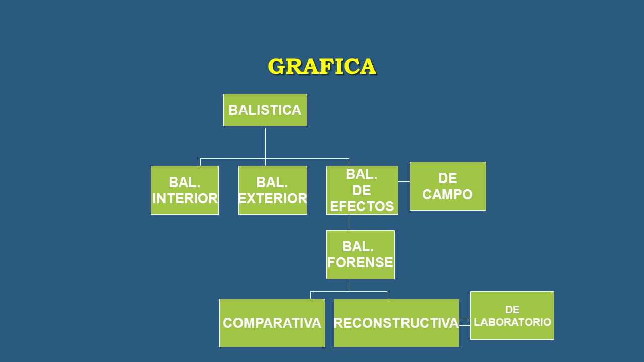 GRAFICA BALISTICA DE CAMPO BAL. INTERIOR BAL. EXTERIOR BAL. DE EFECTOS