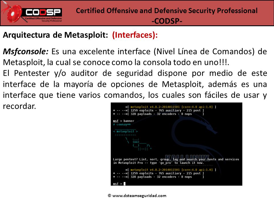 Arquitectura de Metasploit: (Interfaces):