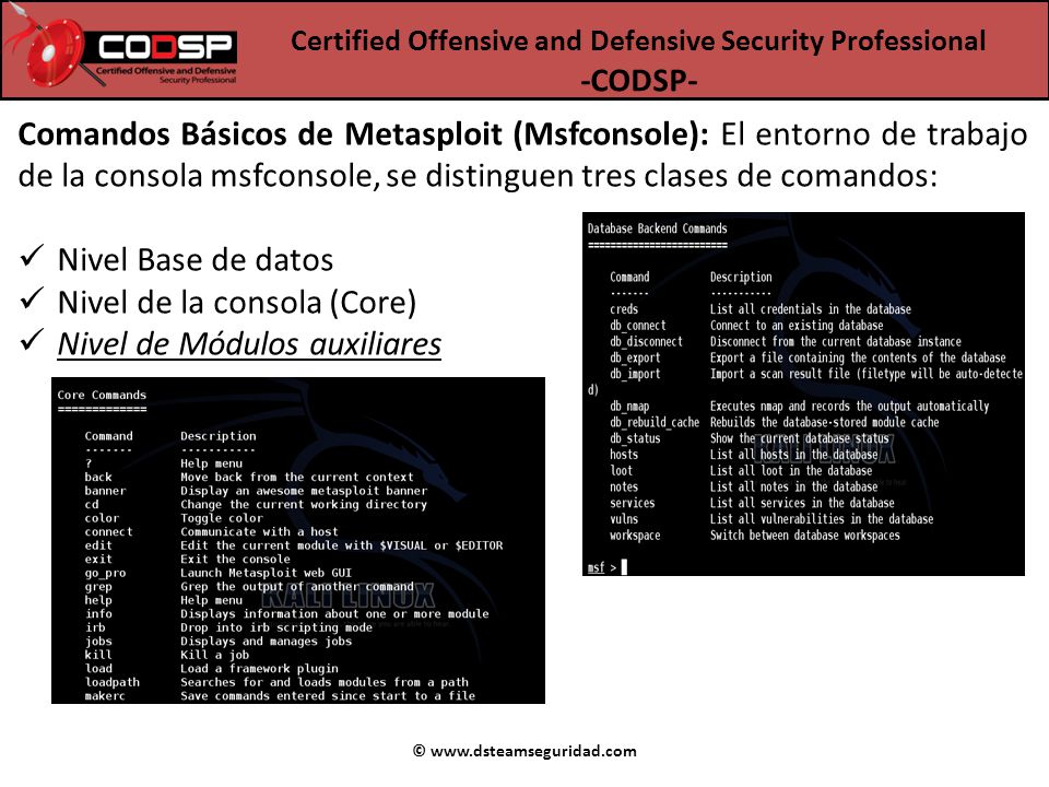 Nivel de la consola (Core) Nivel de Módulos auxiliares