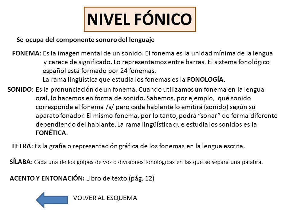 NIVEL FÓNICO Se ocupa del componente sonoro del lenguaje