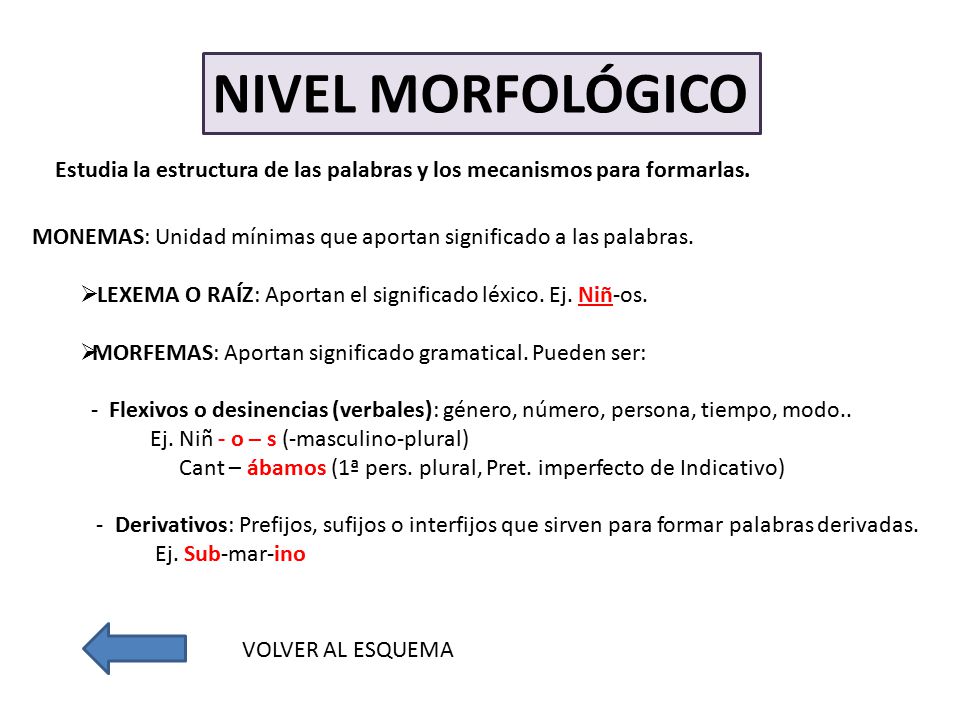 NIVEL MORFOLÓGICO Estudia la estructura de las palabras y los mecanismos para formarlas.
