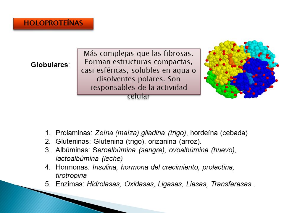 HOLOPROTEÍNAS Globulares: Prolaminas: Zeína (maíza),gliadina (trigo), hordeína (cebada) Gluteninas: Glutenina (trigo), orizanina (arroz).