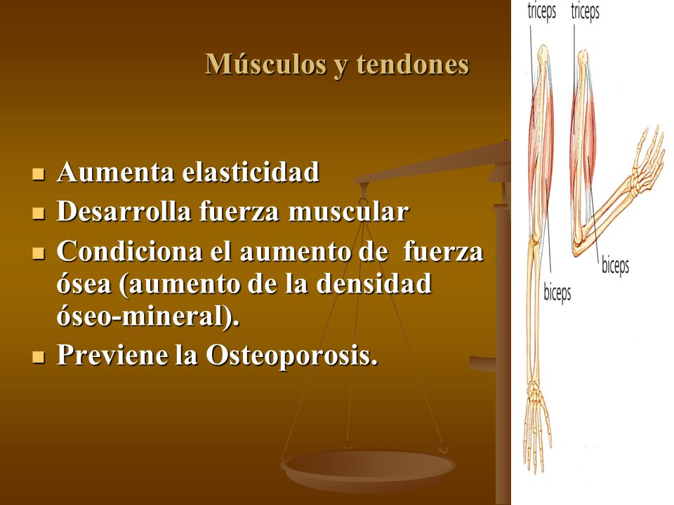Músculos y tendones Aumenta elasticidad. Desarrolla fuerza muscular. Condiciona el aumento de fuerza ósea (aumento de la densidad óseo-mineral).
