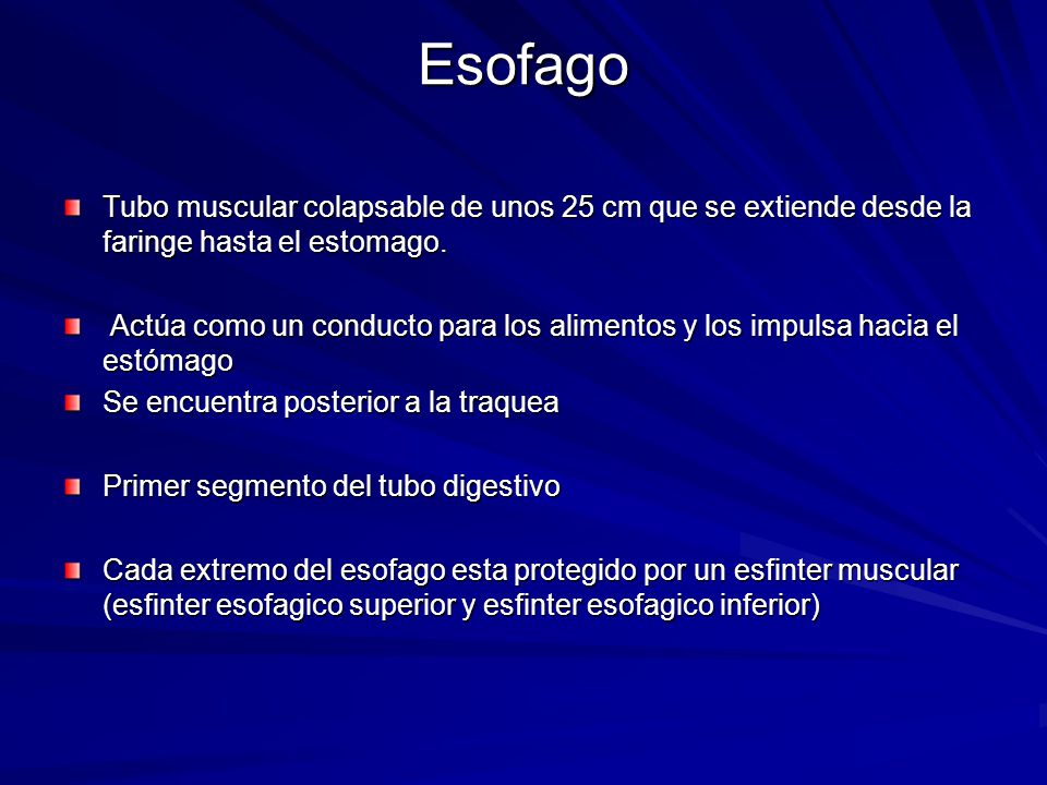 Esofago Tubo muscular colapsable de unos 25 cm que se extiende desde la faringe hasta el estomago.
