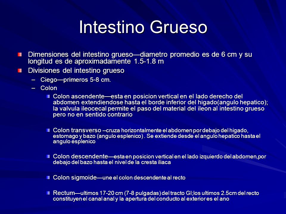 Intestino Grueso Dimensiones del intestino grueso—diametro promedio es de 6 cm y su longitud es de aproximadamente m.