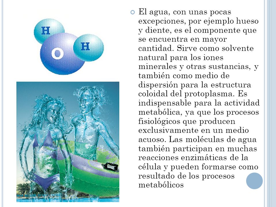 El agua, con unas pocas excepciones, por ejemplo hueso y diente, es el componente que se encuentra en mayor cantidad.