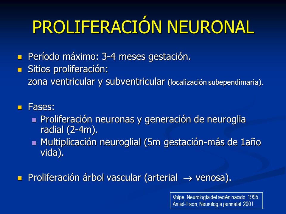 PROLIFERACIÓN NEURONAL
