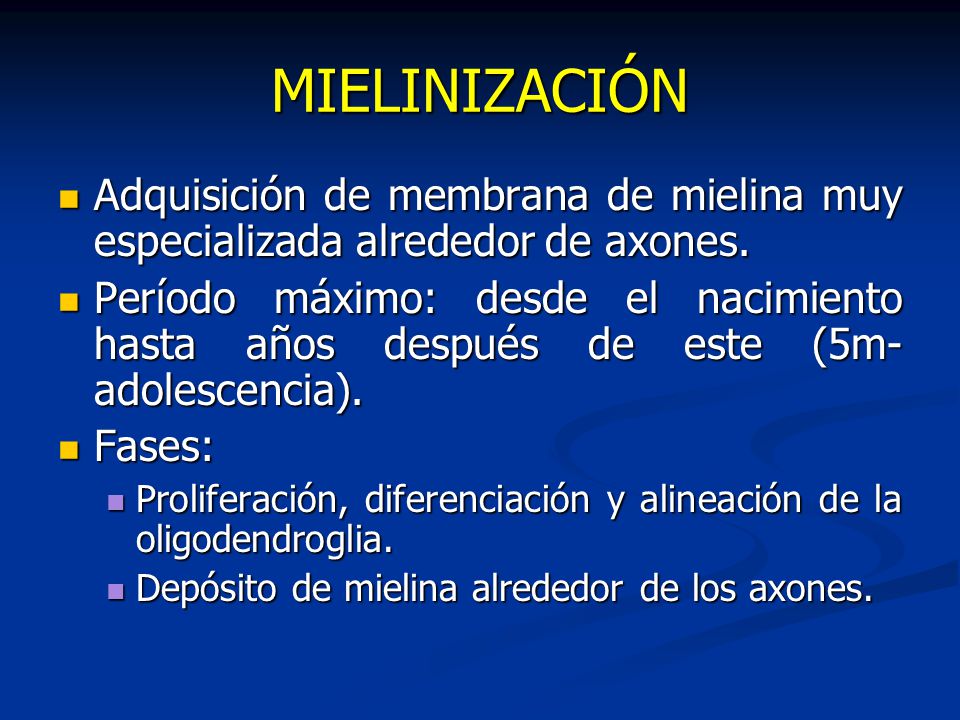 MIELINIZACIÓN Adquisición de membrana de mielina muy especializada alrededor de axones.