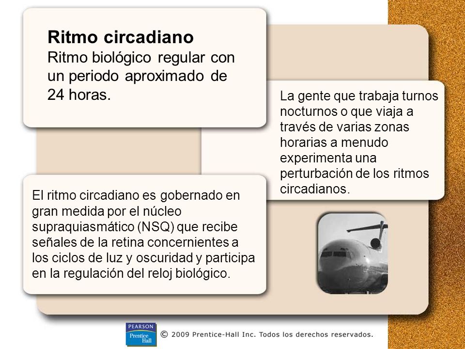 Ritmo circadiano Ritmo biológico regular con un periodo aproximado de 24 horas.