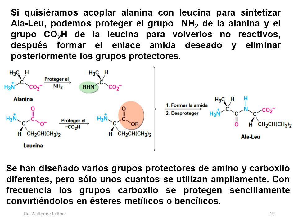 Si quisiéramos acoplar alanina con leucina para sintetizar Ala-Leu, podemos proteger el grupo NH2 de la alanina y el grupo CO2H de la leucina para volverlos no reactivos, después formar el enlace amida deseado y eliminar posteriormente los grupos protectores.