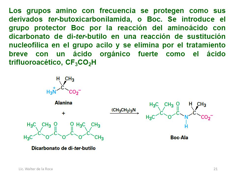 Los grupos amino con frecuencia se protegen como sus derivados ter-butoxicarbonilamida, o Boc. Se introduce el grupo protector Boc por la reacción del aminoácido con dicarbonato de di-ter-butilo en una reacción de sustitución nucleofílica en el grupo acilo y se elimina por el tratamiento breve con un ácido orgánico fuerte como el ácido trifluoroacético, CF3CO2H