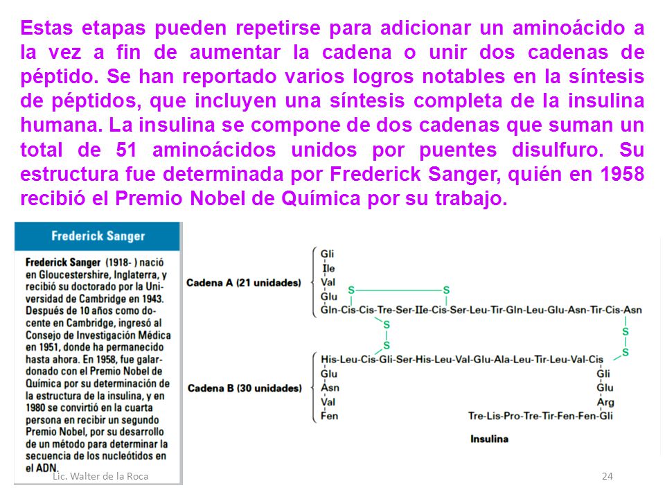 Estas etapas pueden repetirse para adicionar un aminoácido a la vez a fin de aumentar la cadena o unir dos cadenas de péptido. Se han reportado varios logros notables en la síntesis de péptidos, que incluyen una síntesis completa de la insulina humana. La insulina se compone de dos cadenas que suman un total de 51 aminoácidos unidos por puentes disulfuro. Su estructura fue determinada por Frederick Sanger, quién en 1958 recibió el Premio Nobel de Química por su trabajo.