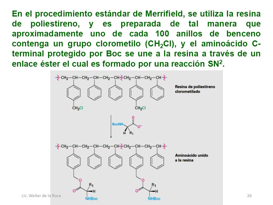 En el procedimiento estándar de Merrifield, se utiliza la resina de poliestireno, y es preparada de tal manera que aproximadamente uno de cada 100 anillos de benceno contenga un grupo clorometilo (CH2Cl), y el aminoácido C-terminal protegido por Boc se une a la resina a través de un enlace éster el cual es formado por una reacción SN2.