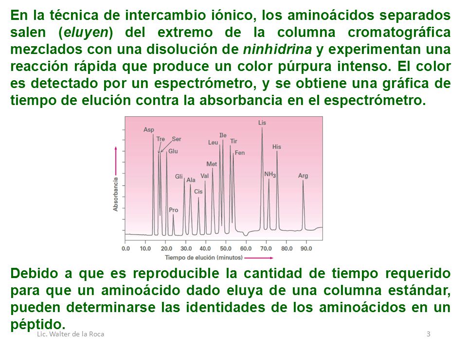 En la técnica de intercambio iónico, los aminoácidos separados salen (eluyen) del extremo de la columna cromatográfica mezclados con una disolución de ninhidrina y experimentan una reacción rápida que produce un color púrpura intenso. El color es detectado por un espectrómetro, y se obtiene una gráfica de tiempo de elución contra la absorbancia en el espectrómetro.