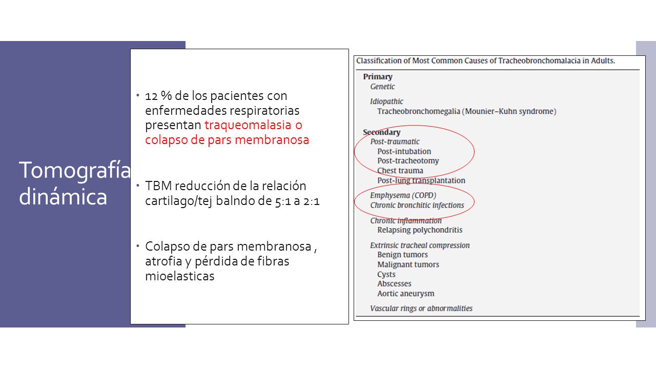 12 % de los pacientes con enfermedades respiratorias presentan traqueomalasia o colapso de pars membranosa