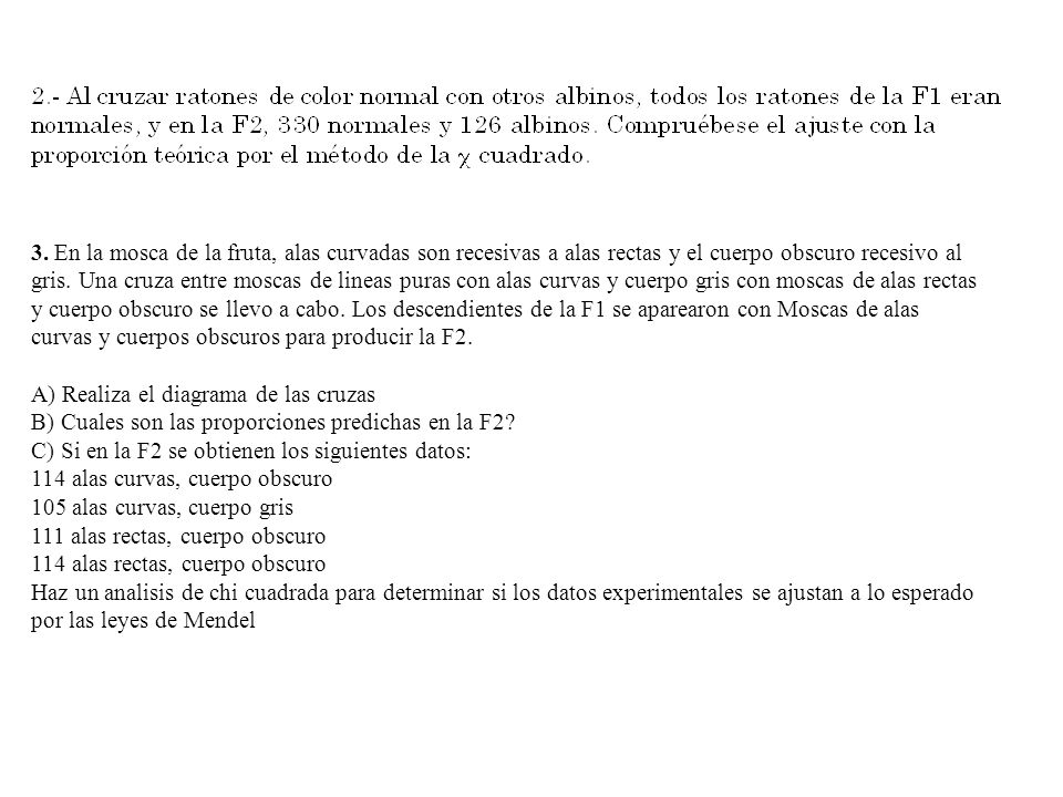 3. En la mosca de la fruta, alas curvadas son recesivas a alas rectas y el cuerpo obscuro recesivo al gris. Una cruza entre moscas de lineas puras con alas curvas y cuerpo gris con moscas de alas rectas y cuerpo obscuro se llevo a cabo. Los descendientes de la F1 se aparearon con Moscas de alas curvas y cuerpos obscuros para producir la F2.