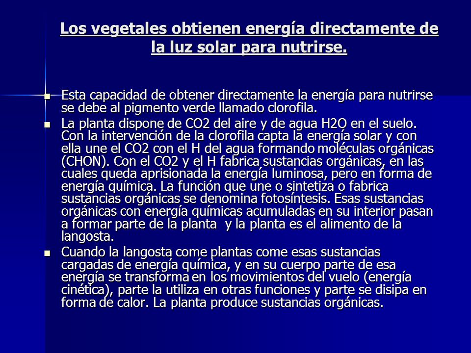 Los vegetales obtienen energía directamente de la luz solar para nutrirse.