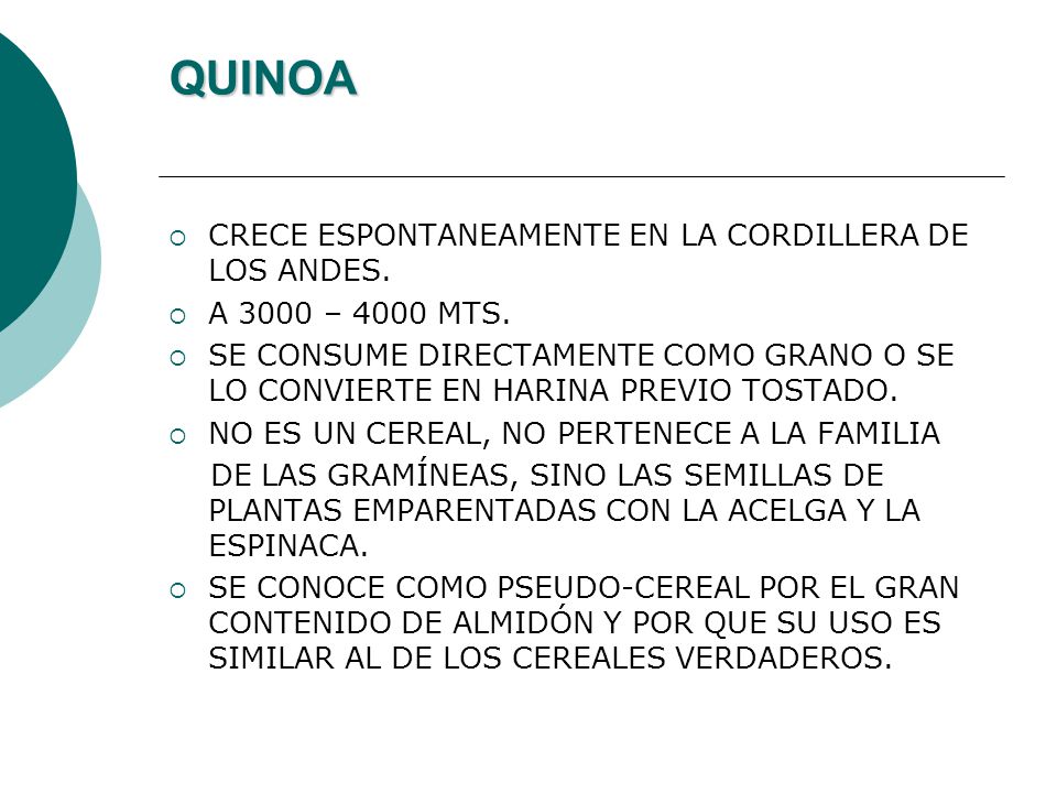 QUINOA CRECE ESPONTANEAMENTE EN LA CORDILLERA DE LOS ANDES.